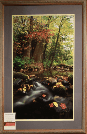Fall Tranquility, Appalachian Trail, North Carolina